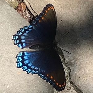 Meet your Posher, Fran